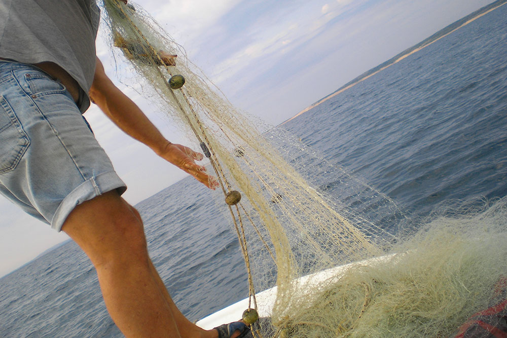 A glimpse of Šimuni’s fishing heritage, captured as a fisherman brings in his nets